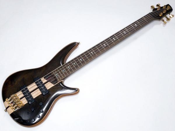 Ibanez ( アイバニーズ ) SR1825 NTL