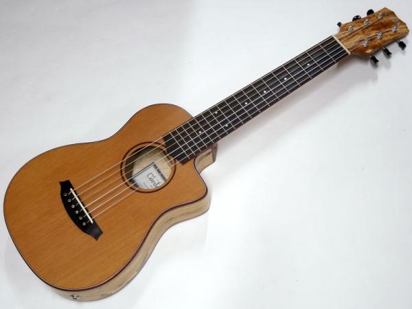 Cordoba MINI SM-CE < Used / 中古品 >