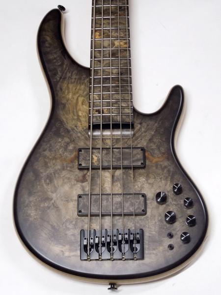 STR GUITARS LS549 #496 | ワタナベ楽器店 大阪店