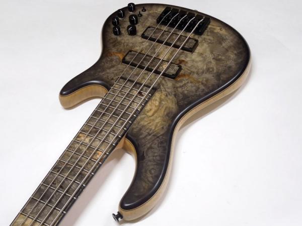 STR GUITARS LS549 #496 | ワタナベ楽器店 大阪店
