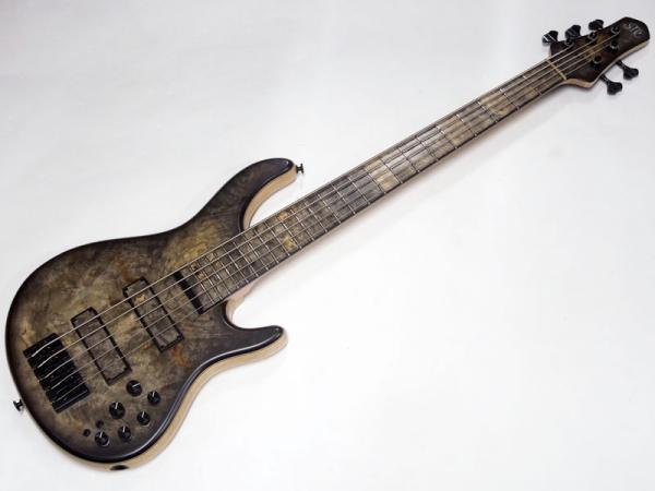 STR GUITARS LS549 #496