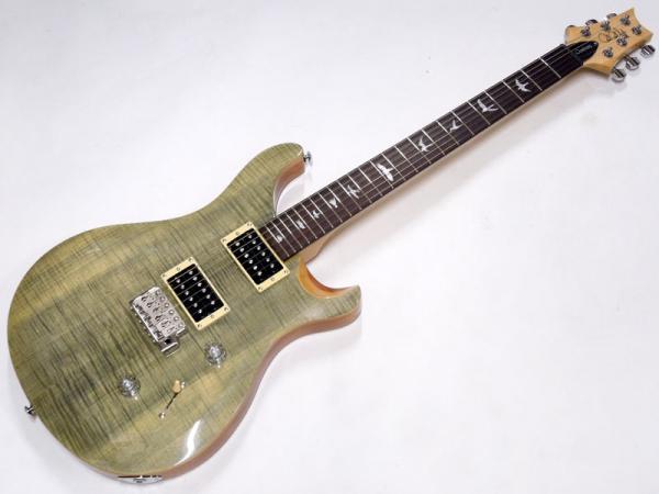 Paul Reed Smith /PRS ( ポール・リード・スミス ) SE Custom 24 N / Trampas Green