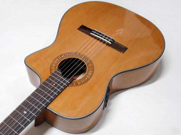 Martinez MP-14 / MH-Artist | ワタナベ楽器店 大阪店