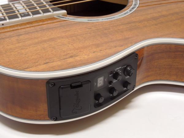 美品 タカミネ製 ギブソンL-00タイプ エレアコ シリアルナンバー 希少モデル Gibson / L-00 Original Vintage Sunburst | イシバシ楽器
