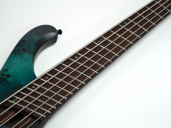 ベース Ibanez EHB1505MS-TSF EHB1505MS | EHB | ELECTRIC BASSES | PRODUCTS | Ibanez guitars