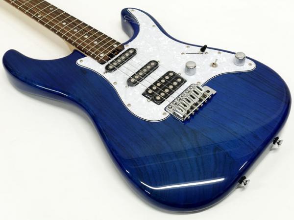 SCHECTER シェクター Oriental Line OL-ST / DBL | ワタナベ楽器