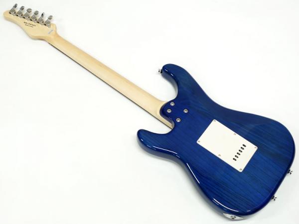 SCHECTER シェクター Oriental Line OL-ST / DBL | ワタナベ楽器