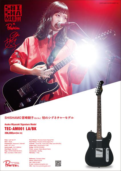 Provision ( プロビジョンギター ) TEC-AM001 LA/BK 【Asako Miyazaki Signature Model】
