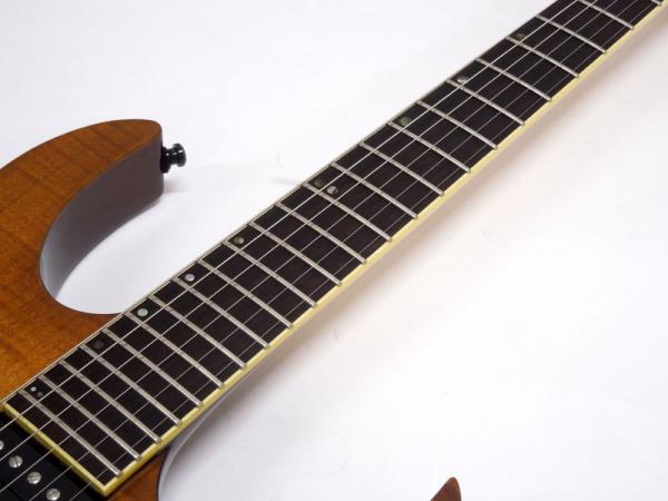 Ibanez アイバニーズ RGT-3170 < Used / 中古品 > | ワタナベ