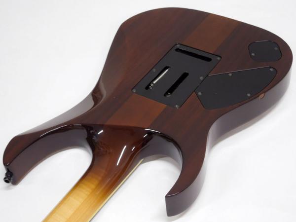 Ibanez RGT3170 ラッカー塗装　ステンレスフレット Ibanez RGT3170 ラッカー塗装 ステンレスフレット Ibanez RGT3170