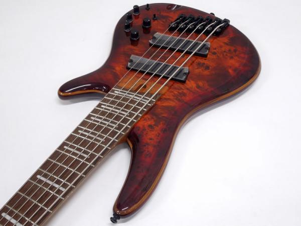 A4等級以上 Ibanez SRMS-806 6弦ベース ファンドフレット | www 