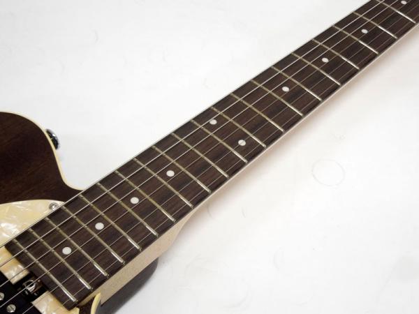 ギター Bacchus Handmade Series T-HOLLOW BLK/OIL T-HOLLOW | Deviser ｜株式会社ディバイザー｜長野県松本市の