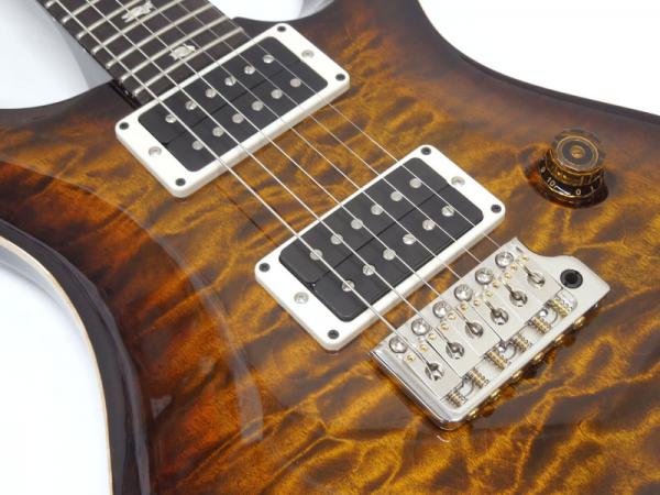 Paul Reed Smith /PRS ポール・リード・スミス Custom24 10Top 1piece
