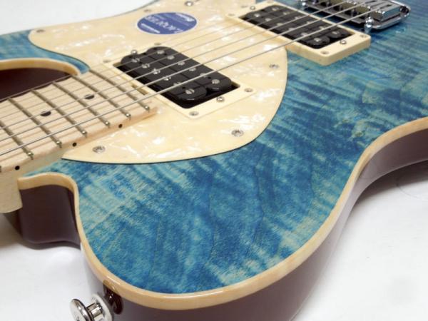 Bacchus Hand Made Series T-CUSTOM・FT/M（中古）【楽器検索