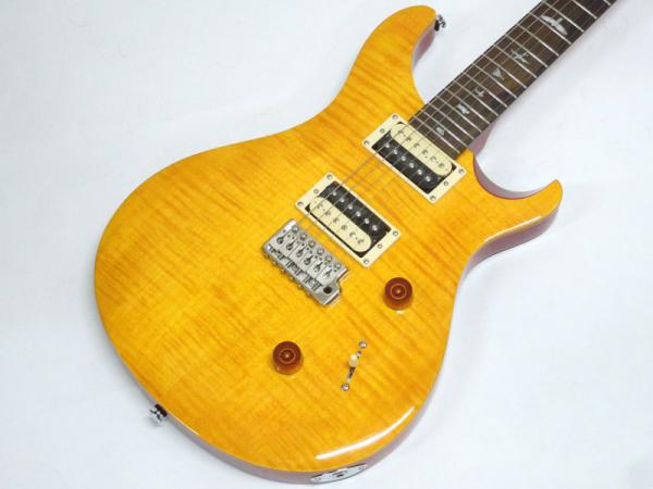 Paul Reed Smith /PRS ポール・リード・スミス SE Custom 24 N