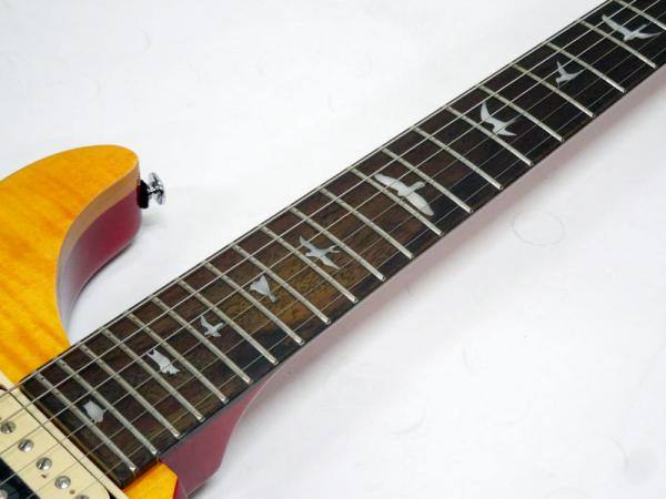Paul Reed Smith /PRS ポール・リード・スミス SE Custom 24 N
