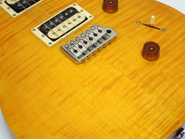 Paul Reed Smith /PRS ポール・リード・スミス SE Custom 24 N