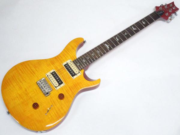 Paul Reed Smith /PRS ( ポール・リード・スミス ) SE Custom 24 N