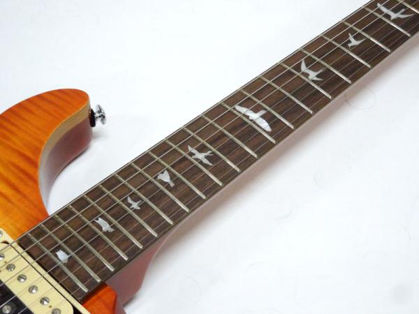 Paul Reed Smith /PRS ポール・リード・スミス SE Custom 24 N
