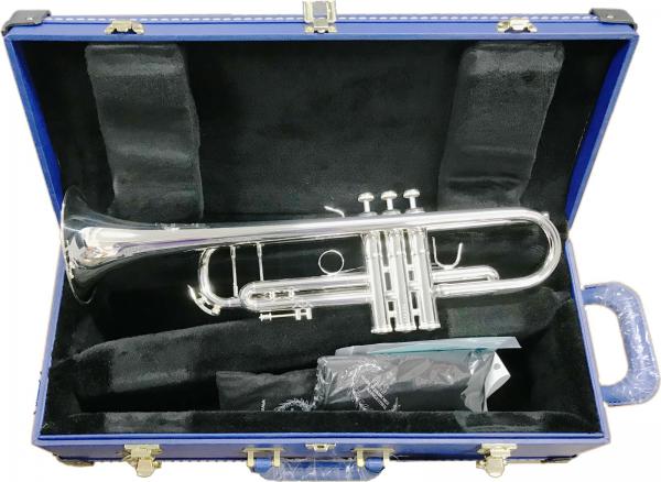 B＆S ビーアンドエス トランペット TP80GBS アウトレット ゴールドブラス ベル 銀メッキ チャレンジャーシリーズ 本体 Bb Trumpet BS3180G-2　北海道 沖縄 離島不可