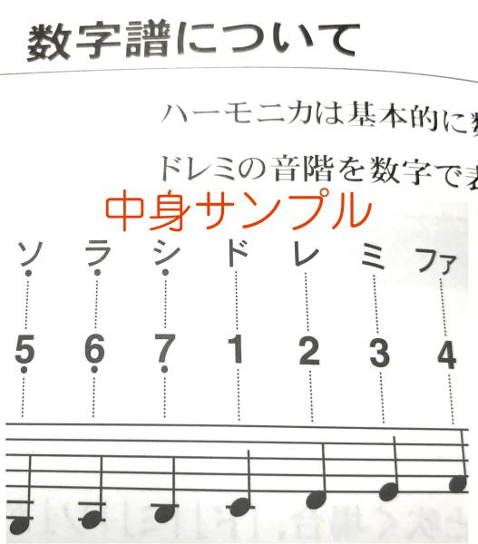 TOMBO トンボ 3121 複音ハーモニカ 楽譜 セット 21穴 トンボ
