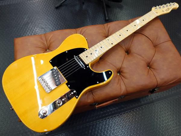 FgN フジゲン KNTL10MBD / Vintage Natural < Used / 中古品 > 