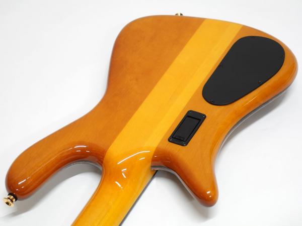 SPECTOR EURO 4 LT Poplar Burl Limited / Tiger Eye Fade 20%OFF