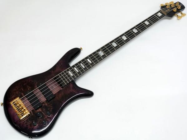 SPECTOR EURO 5 LT Poplar Burl Limited / Violet Fade 20%OFF