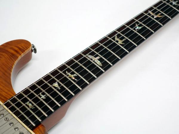 Paul Reed Smith /PRS ポール・リード・スミス 20th Anniversary