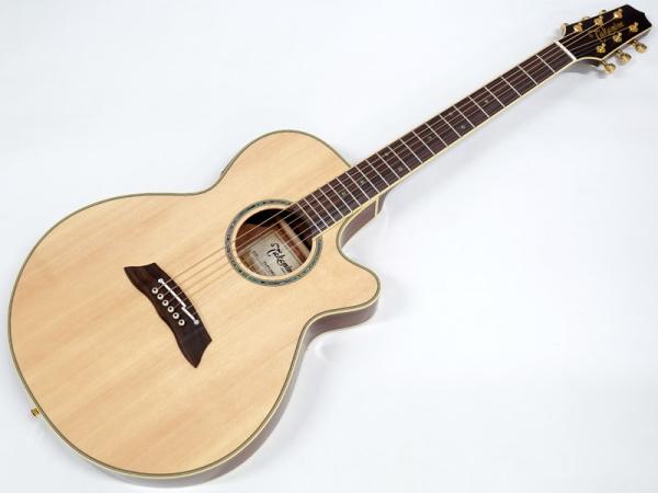 TAKAMINE タカミネ TSP138C / NAT