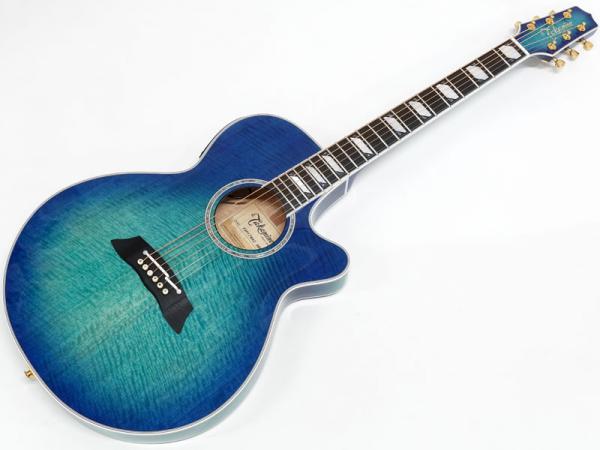 TAKAMINE タカミネ TSP178AC SBB
