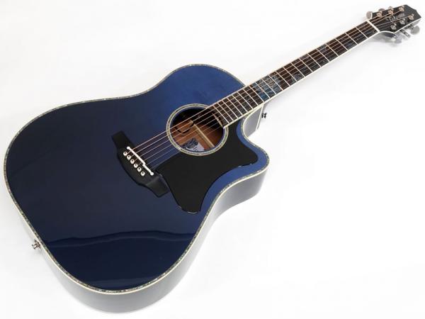 TAKAMINE ( タカミネ ) LTD2021 - Blue Rose -