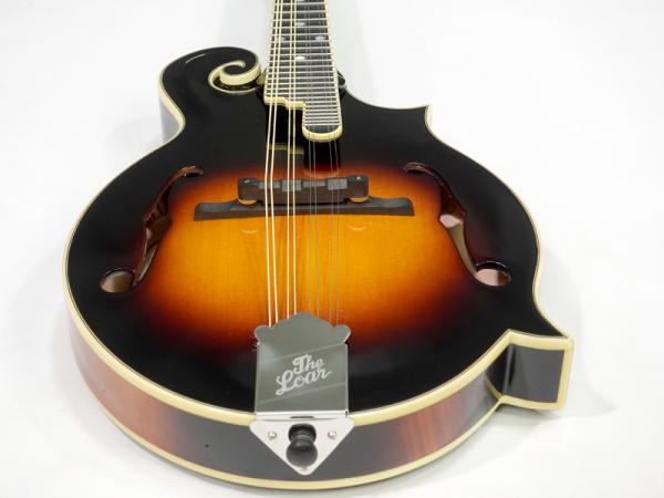 The Loar LH-600-VS 単板削り出し The Loar LH-600-VS Professional Archtop Acoustic Guitar
