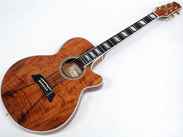 TAKAMINE ( タカミネ ) TSP178ACK N < Used / 中古品 >