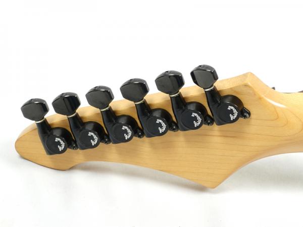 Aria Pro II アリアプロ2 RS HELLCAT - 1980年代の名器ヘルキャット