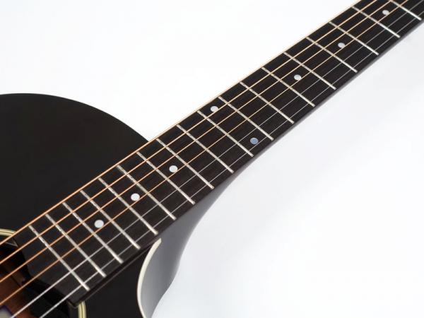 FgN フジゲン AG1E / TDF < Used / 中古品 > | ワタナベ楽器店 大阪店