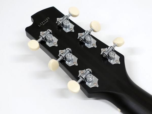 FgN フジゲン AG1E / TDF < Used / 中古品 > | ワタナベ楽器店