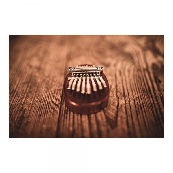 Meinl マイネル Sonic Energy ミニカリンバ Mini Kalimba サペリ KL8MINI
