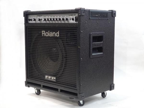 Roland ( ローランド ) D-BASS115