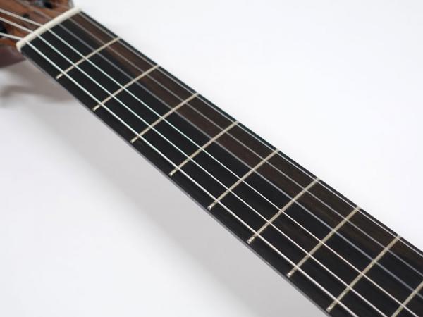 Martinez MSCC-14 OV【 マルチネス エレガット ナイロン弦