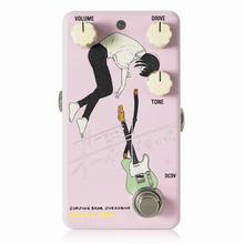 ANIMALS PEDAL Custom Illustrated 038 Surfing Bear Overdrive