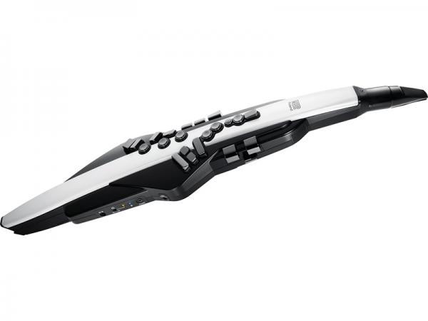 Roland ローランド Aerophone ウィンドシンセサイザー エアロフォン デジタル管楽器 Aerophone AE-20