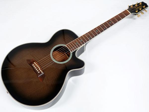 TAKAMINE ( タカミネ ) PT-108 < Used / 中古品 > | ワタナベ楽器店 大阪店