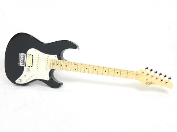 FgN ( フジゲン ) BOS2-M/BK