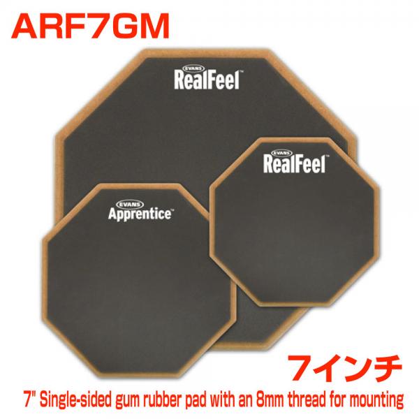 EVANS エバンス RealFeel ARF7GM 【 ドラム 練習パッド 個人練 】