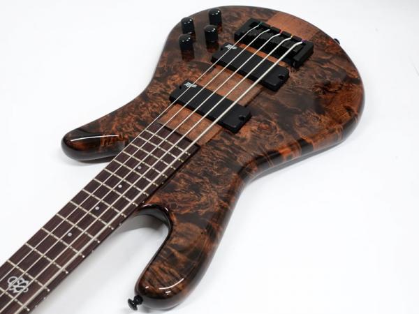 SPECTOR NS Ethos 5 Super Faded Black Gloss【スペクター 5弦ベース