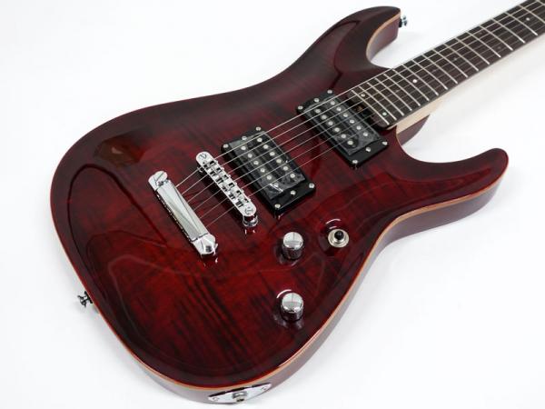 エレキギター シェクター schecter jol series 138641-1.jpg