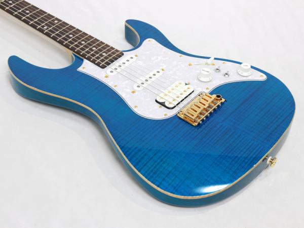 FUJIGEN フジゲン EOS FM EOS-FM/Brown Sunburst : Special Spot Gallery - 過去の限定品