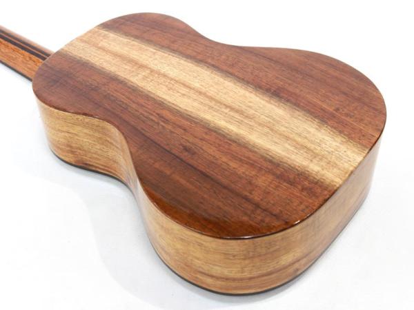 FgN フジゲン FUS-TT-03《テナーウクレレ》 | ワタナベ楽器店