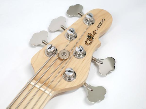 G&L USA L-2500 Andromeda / M【USA ジーエル 5弦ベース 】 送料